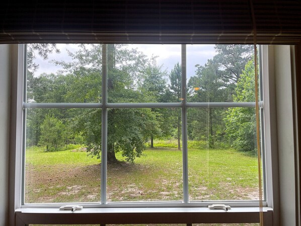 Room with a view.