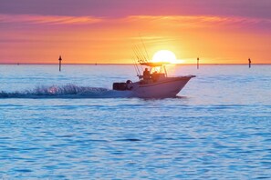 Book a Charter Trip!