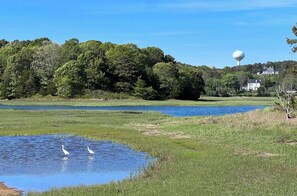 Gorgeous Duck Creek views from the property