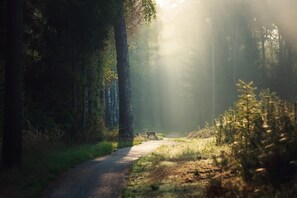 Miscellaneous