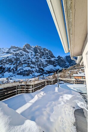 Blau, Stuhl, Gartenmöbel, Design, Schatten, Tisch Im Freien, Eco Hotel, Terrasse, Zimmerpflanze, Daylighting