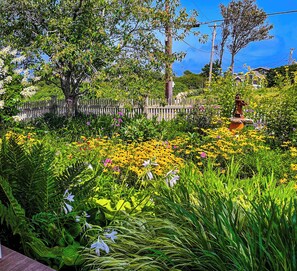 Front English Garden view from porch