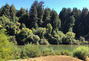 The river doesn't keep track of time... So relax!