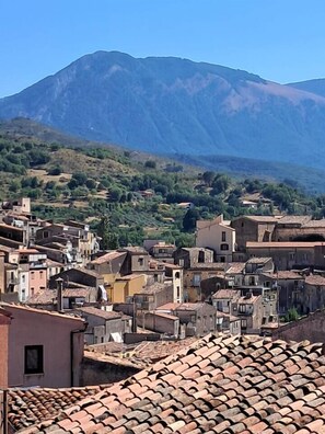 Village View