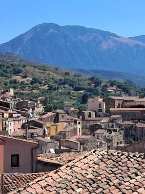 Village View