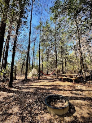 ** TENT & HAMMOCK NOT INCLUDED ** but are available for rent or purchase!