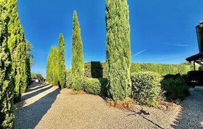 outside