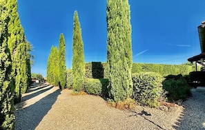 outside