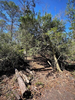 ** TENT & HAMMOCK NOT INCLUDED ** but are available for rent or purchase!