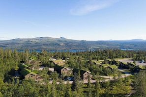 Utsikt från luften