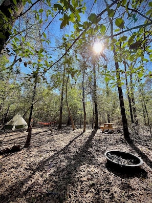 ** TENT & HAMMOCK NOT INCLUDED ** but are available for rent or purchase!