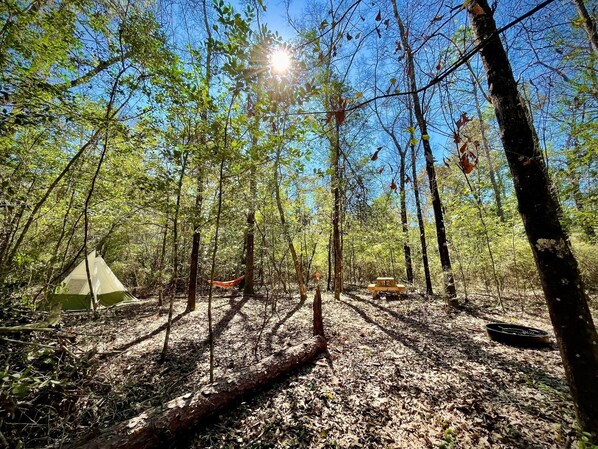 ** TENT & HAMMOCK NOT INCLUDED ** but are available for rent or purchase!