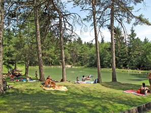 Baum, Erholung, Sommer, Freizeit, Urlaub, Bank, See, Naturschutzgebiet, Park