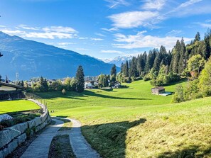 Mountainous Landforms, Grass, Green, Tree, Mountain, Nature, Natural Landscape, Hill, Landscape