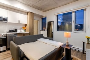 Open layout with sofa bed and modern kitchen