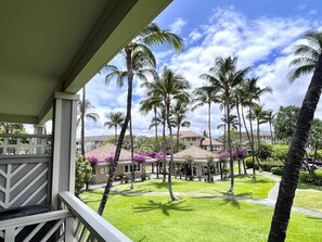 View of pool from lanai