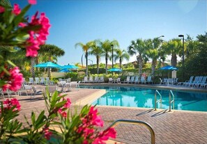 Resort Pool