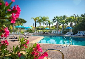 Resort Pool