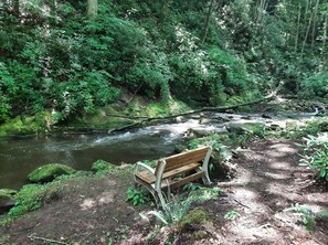 Chill here forever!