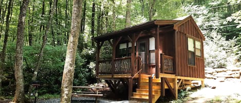 Creekside yard and amenities!
