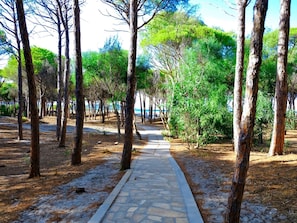 Place