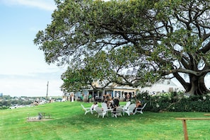 Estate lawns, restaurant and iconic fig