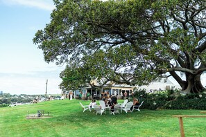 Estate lawns, restaurant and iconic fig 