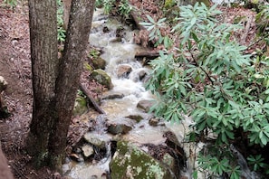 Enjoy the sound of the relaxing creek