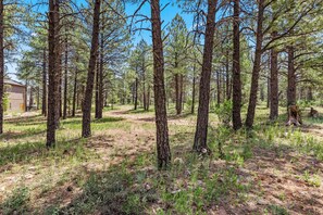 Enjoy the great outdoors, just steps away from the home!