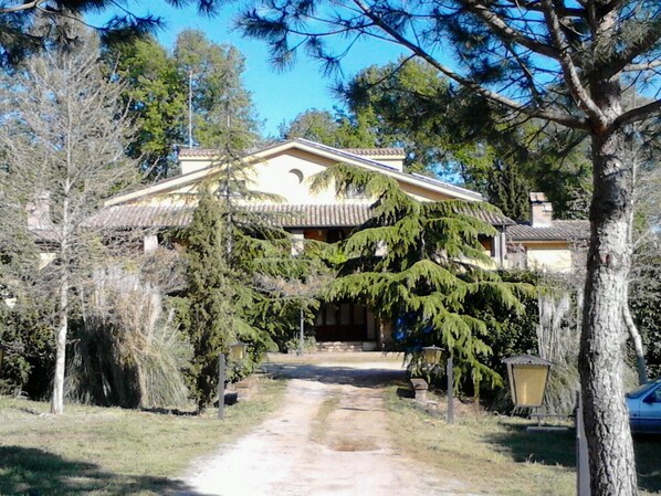 Exterior