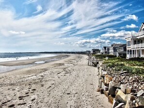  Strolling the beach !