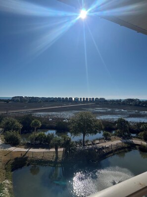 View from property