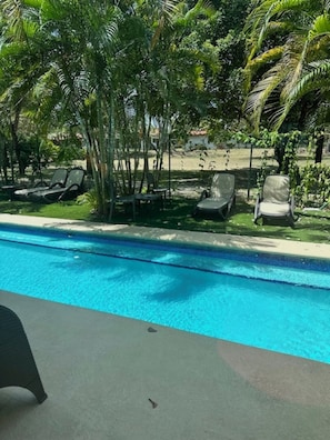 Your backyard with semi private pool