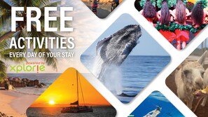 Hale Kalapu Free Activities W3