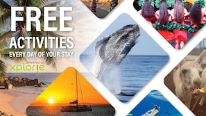 Hale Kalapu Free Activities W3