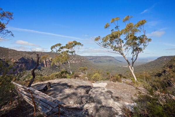 Private Lookout