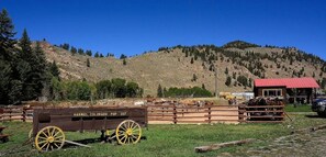 Horseback Riding