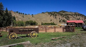 Horseback Riding