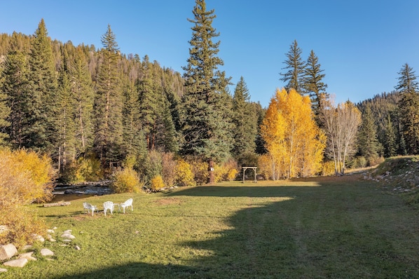 Riverside Meadow