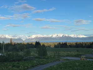 That view!