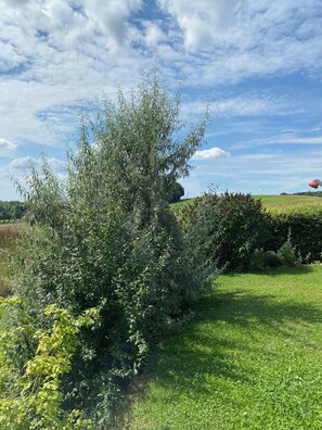 Boendeområde