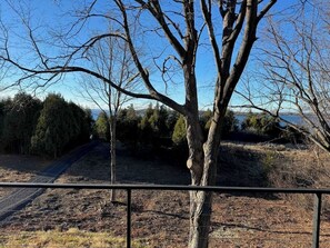 Back deck in tree tops with lake view