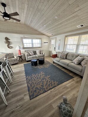 Family room with brand new furniture 