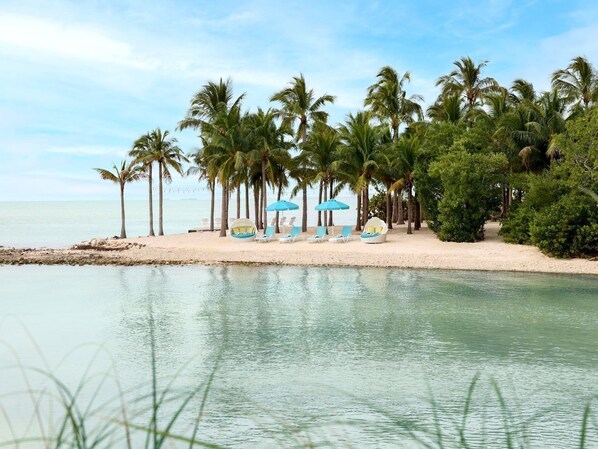 Crystal-clear waters meet a private beach shaded by palms, a tranquil retreat for ultimate relaxation.