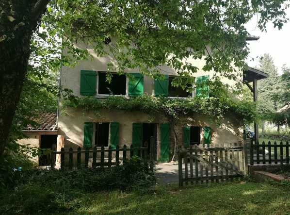 Exteriör