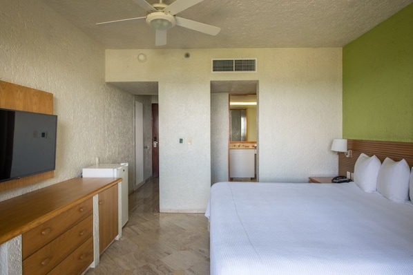 Living / Sleeping Area