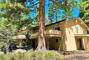 You will be surrounded by beautiful pine trees.