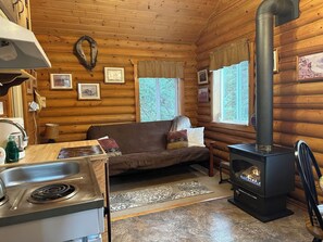 Spacious living room with gas fireplace