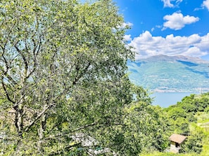 Blatt, Baum, Grün, Natur, Ast, Bergforms, Vegetation, Natürliche Landschaft, Berg, Hügel