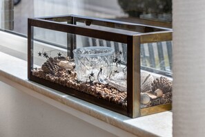 Détail de l’intérieur